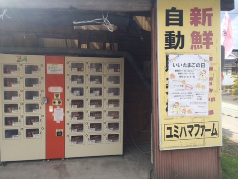 弓浜1