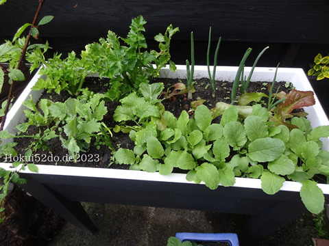 zTUyvwahymJ1WxU1683448387_1683448401