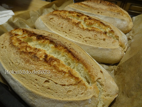 9aucRKomL4Tzk5A1673456372_1673456386