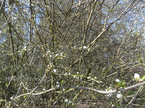 hqJxUUnmRWIOoVX1743230605_1743230620