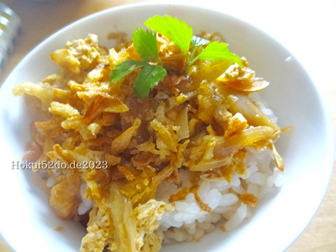 fY1CALTYA9ti2Jz1683384022_1683384105