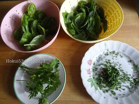 dtCv5KKTZbAv3zh1695803115_1695803129