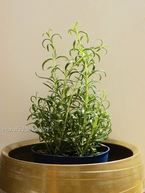 Vq7hqSeCPYfkcZl1736242713_1736242730