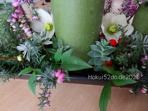 vIUIrTJaVyLAZ7L1736240750_1736240772