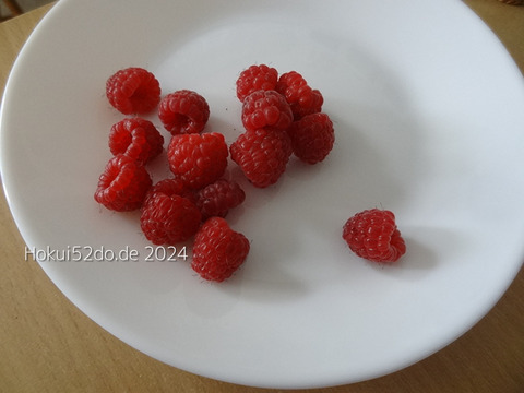 uLECKnQL0E4j4EJ1725103943_1725103960