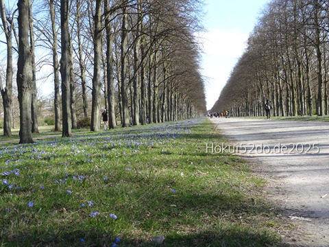 KTX0PbIybhugnbN1744537011_1744537032