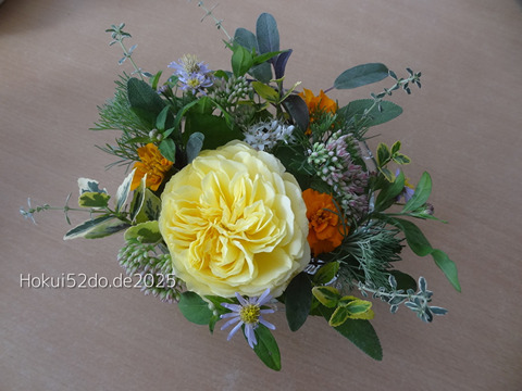 XY8djbOIP0DLPD21758694264_1758694278