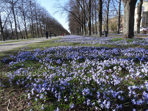 kUZpAX5g2idDxGo1744536886_1744536907