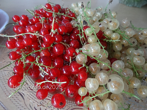 EJVF4m8HOxDAPYT1765792504_1765792516