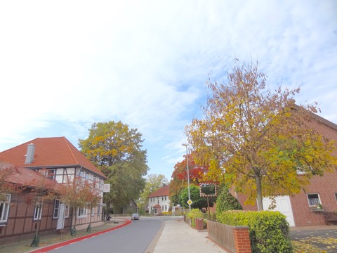DSC06965