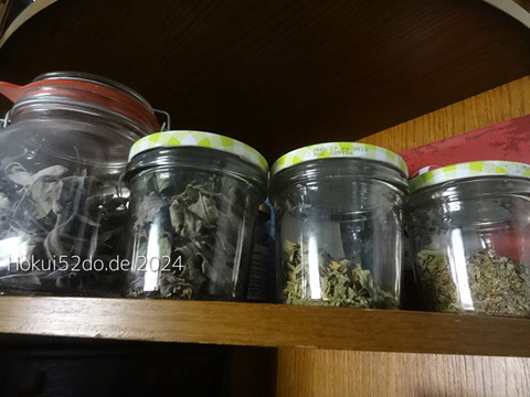 UxzpA15Py1fMHJe1725734908_1725734926