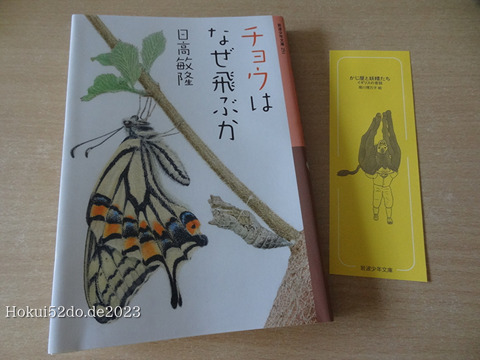 NcEC40R8uNiNvuX1693420515_1693420528