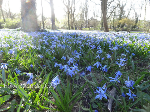 pmdKBoWCSIpSnCv1744537258_1744537276