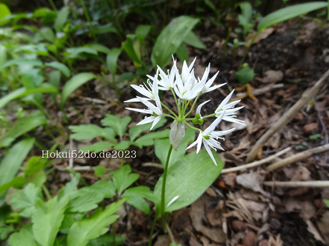 Z1lg53ZKh9TslfR1683450940_1683450956