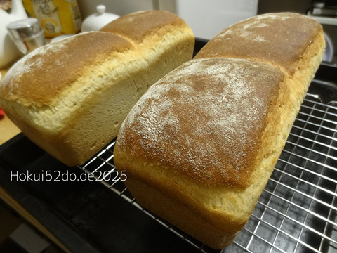 SQnEjiRw8VIogTM1736102912_1736102931