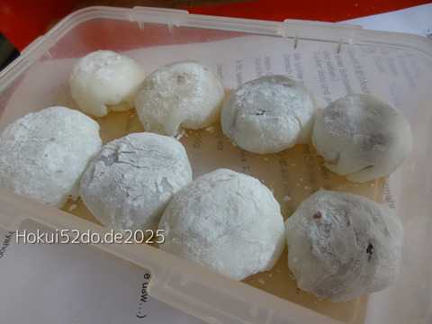 N7LRPJWUY5LXV9j1744358734_1744358765