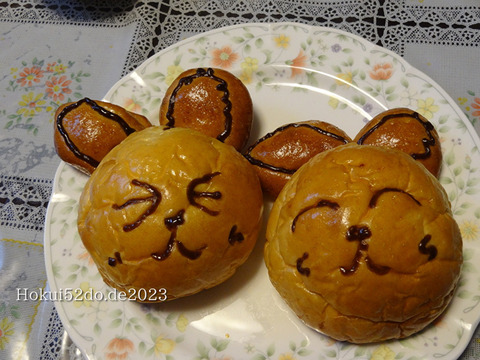 gZ64b5iquKvLCwo1673458613_1673458719