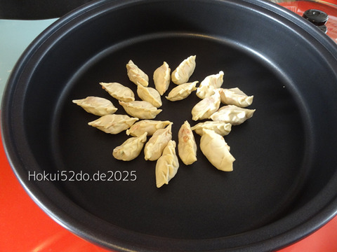 vwY00nnnfcPJONJ1754241962_1754241987