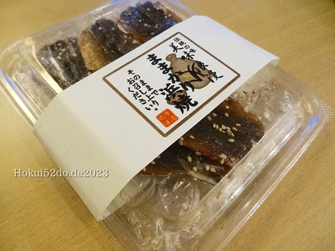 fnH3msiBK2JbHdc1695020578_1695020601