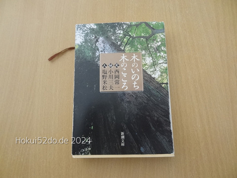 j6Qpzo6aBm2Ke731720524149_1720524162