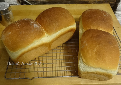 rHtk7021wB7yZnG1756478657_1756478673