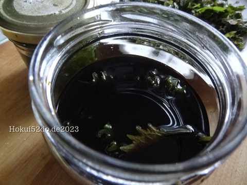 QduVCa9zOdjKfBi1695803395_1695803407