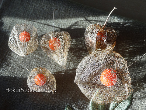 jhBd4RNAD8Hm5aT1736244060_1736244084