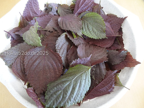 nNz73gQfNImHrAS1757043931_1757043946