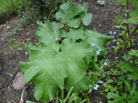 UN3H6RA8pooAt2N1683451061_1683451080