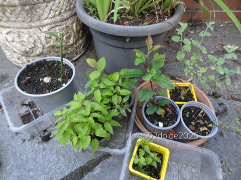 byVtDcJQjBXT1Bk1756577276_1756577300