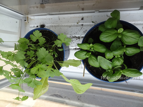 8DU3xYktDkLMQPD1682926558_1682926576