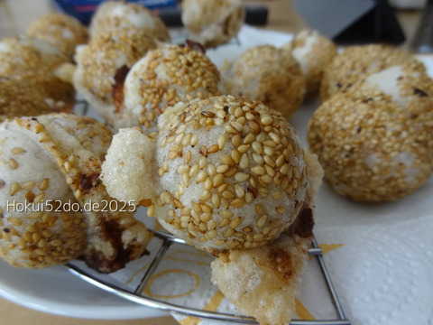 I736siq9wE9mN2G1758692408_1758692419