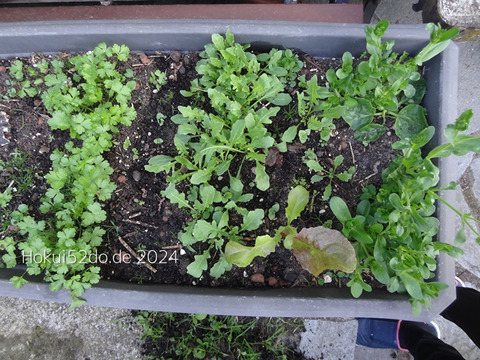 XFftxZoBbx9Di7v1721411135_1721411151