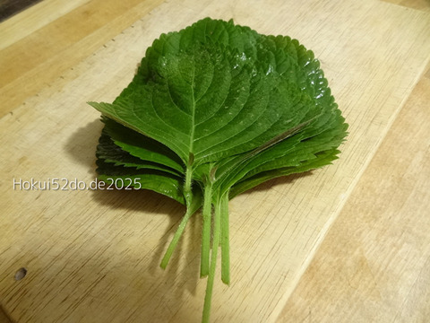 xm1IjbgcAyePXcN1758520389_1758520417