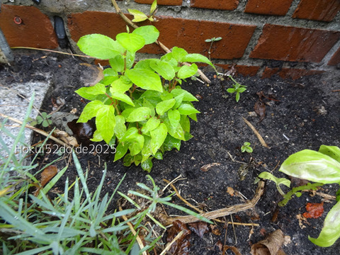 9nPSe8b4qNZjtQD1756577534_1756577555