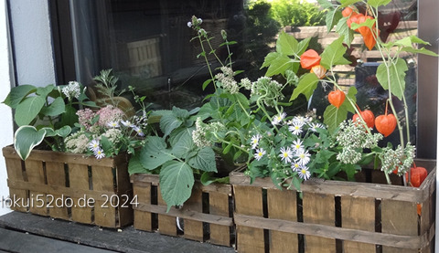 qPrb8xESpUl7CEQ1728022894_1728022917