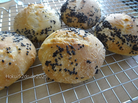 VqZqWMXVMYq6VF01756477181_1756477210