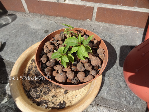 I2byZCPF06Wx5yE1756577745_1756577840