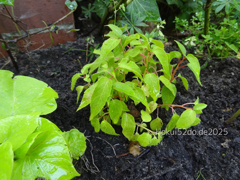 slIfGMyjQtbrIYY1756577381_1756577413