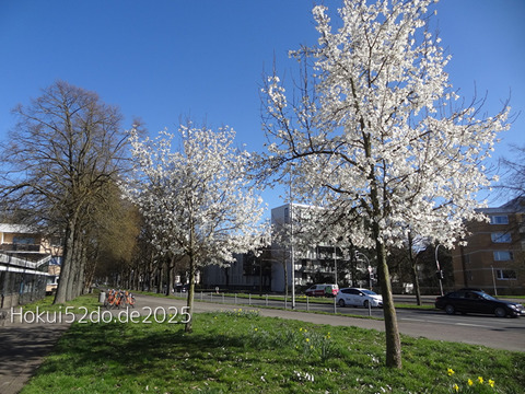 Z3ZwpsoRUEJwZll1744538104_1744538124