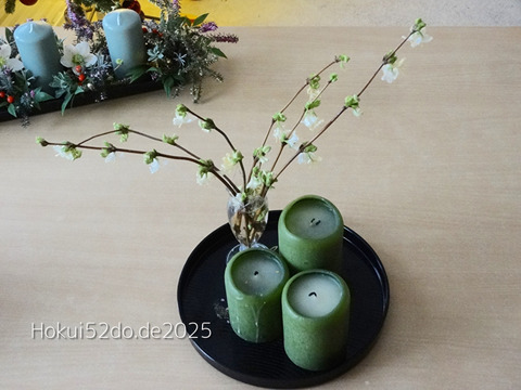 WbaSKS6tF1XunoH1736241394_1736241421