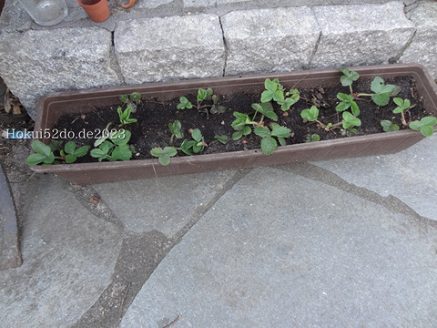 uoANYYqIZoAakza1682926436_1682926465