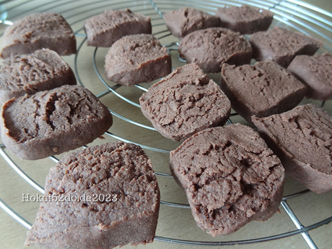 leNof6b1ND4CWwc1683385148_1683385161