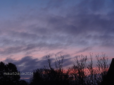 EB1tXH8y3ZVHv6m1734342297_1734342313