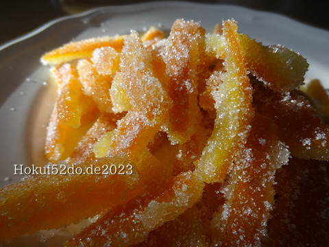 qW816RxT0YQ8wl61676215167_1676215181