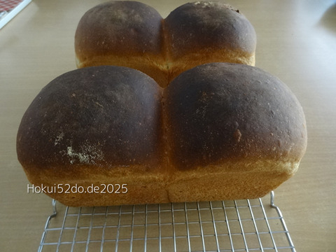 Tqdi8xtkAZzderM1756477361_1756477379