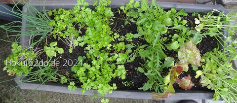 aq3B34pKQyLRk4F1721411440_1721411457