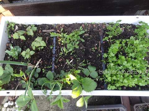 iVSEFUNOit7YTXk1721411204_1721411222