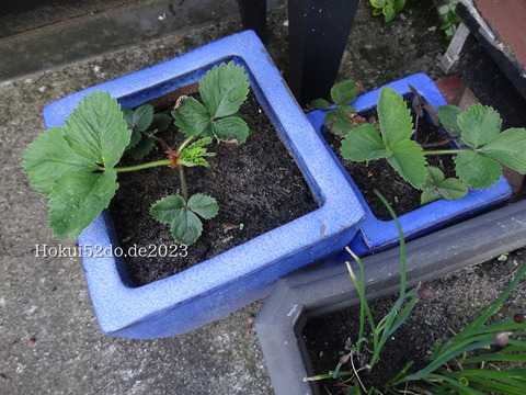 i3EAMiY9Cj79Zil1682922014_1682922067