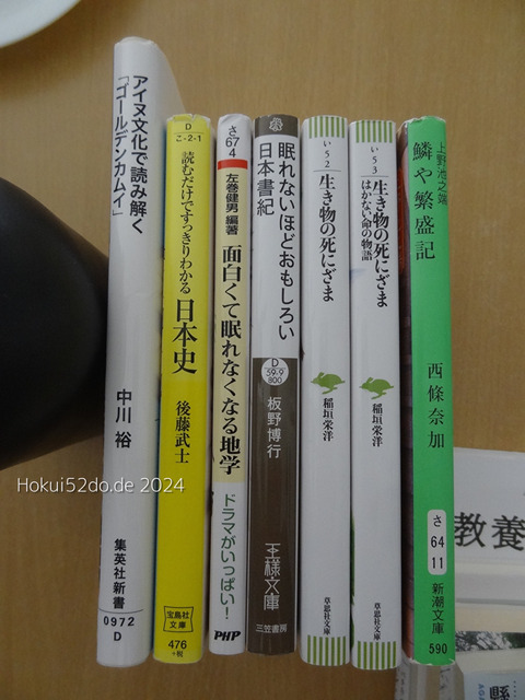 oxrfQrLVbKKl97h1720524247_1720524283